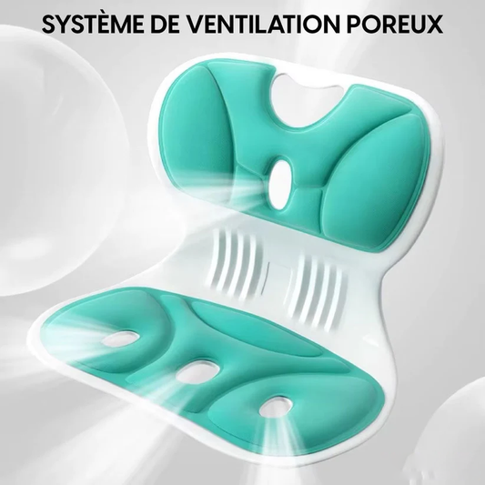 Coussin de Soutien Lombaire